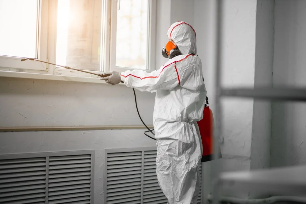 Professional mold remediation services in Gilberts, IL
